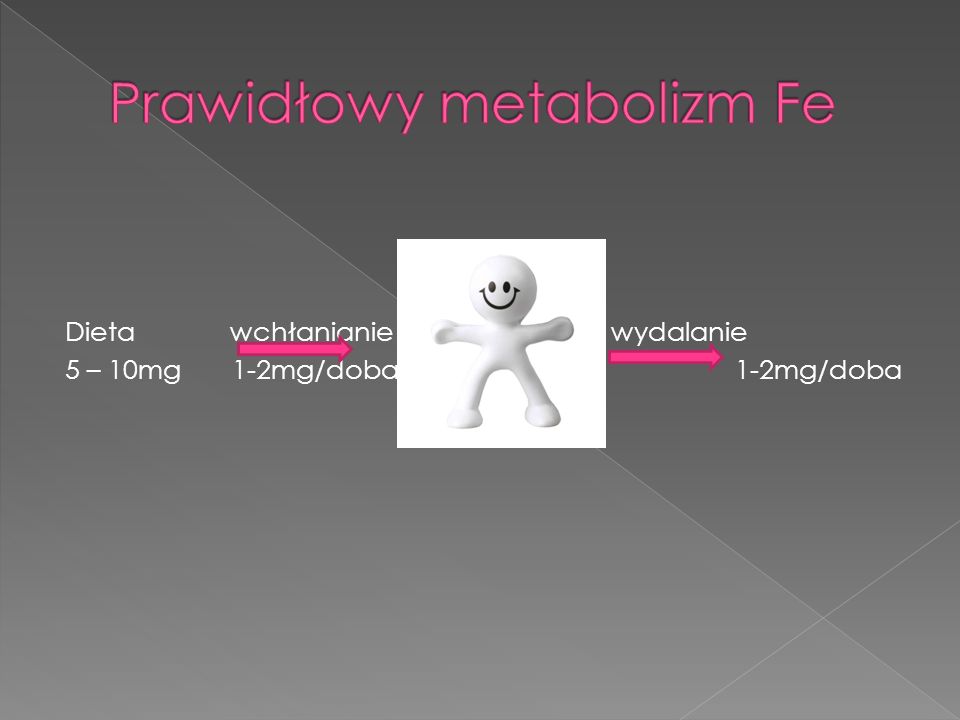 Prawidłowy metabolizm Fe
