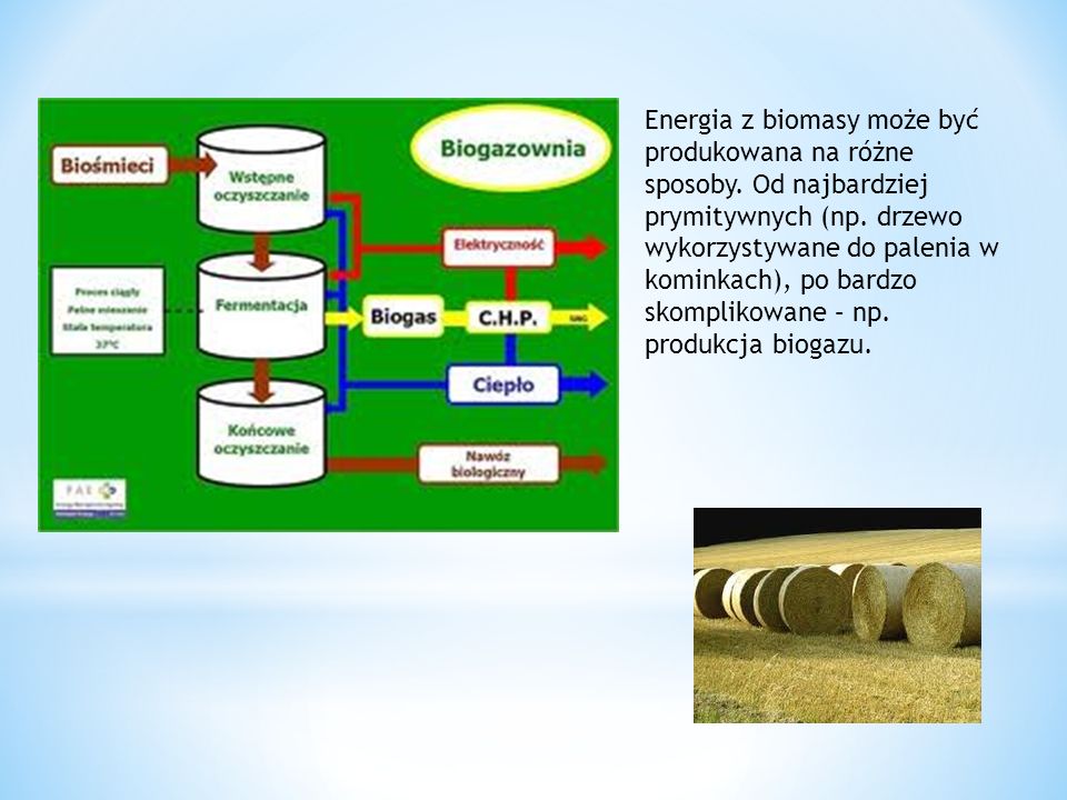 Energia z biomasy może być produkowana na różne sposoby