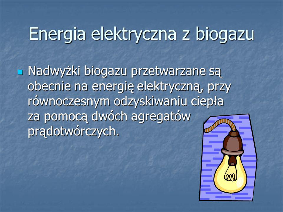 Energia elektryczna z biogazu