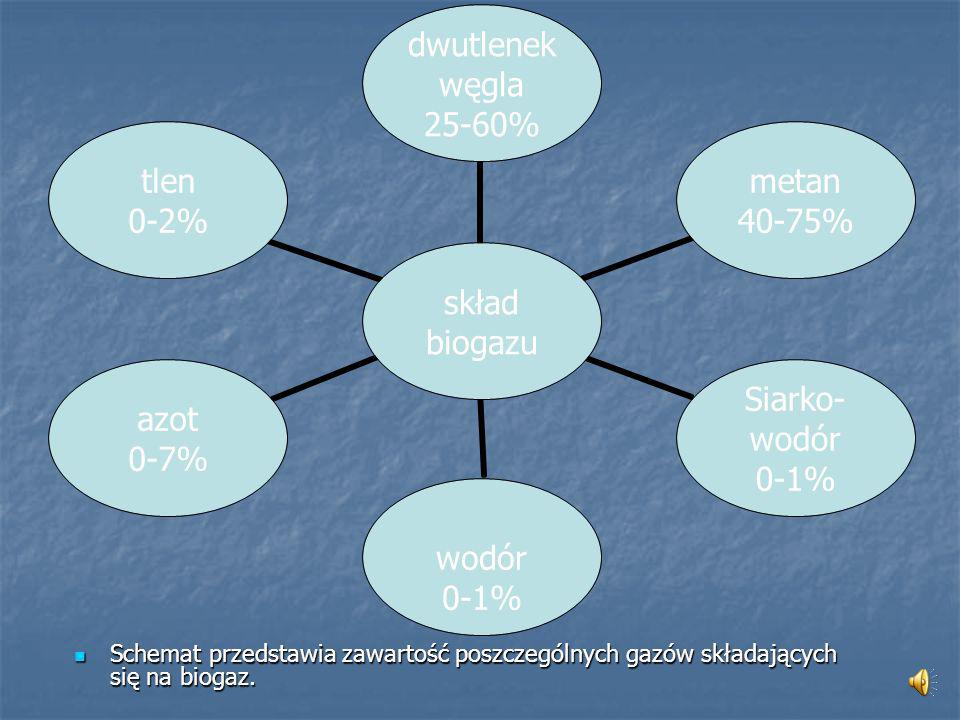 Schemat przedstawia zawartość poszczególnych gazów składających się na biogaz.