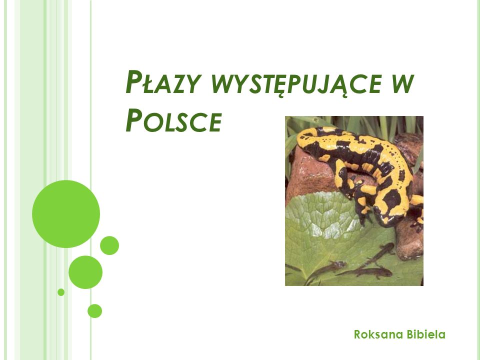 Płazy występujące w Polsce