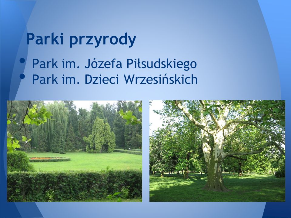 Parki przyrody Park im. Józefa Piłsudskiego