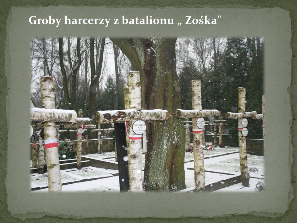 Groby harcerzy z batalionu „ Zośka