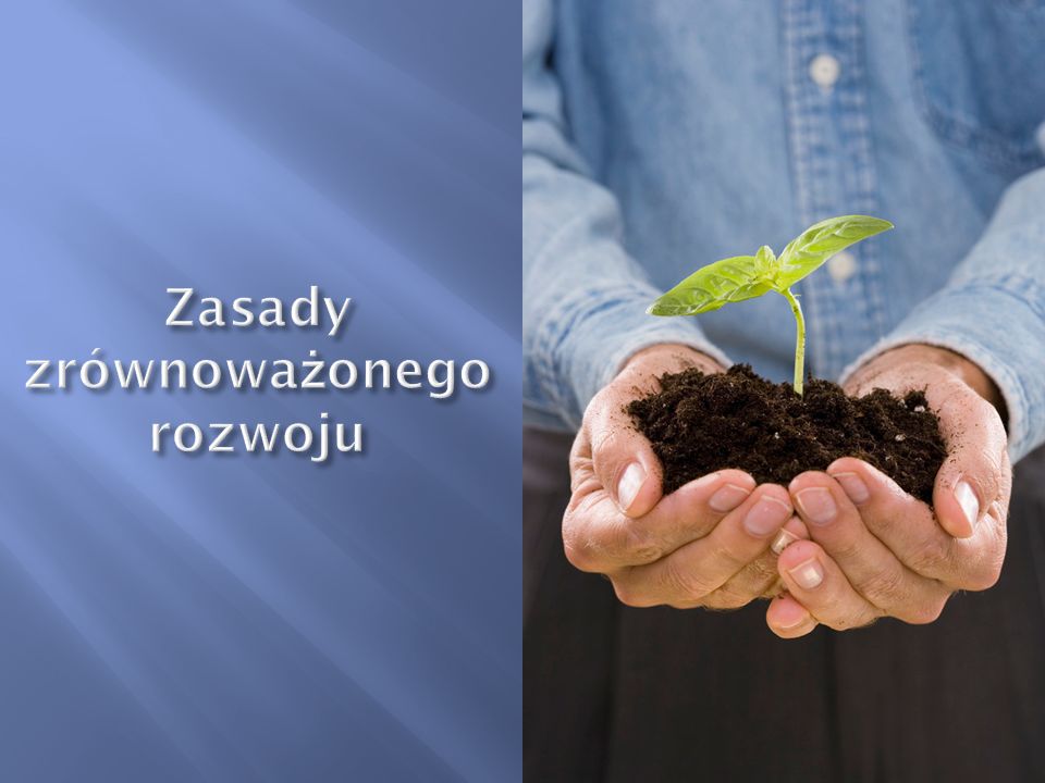 Охрана природы перевод. Охрана окружающей среды. Охрана природы вывод. Вывод о защите природы. Вывод о защите окружающей среды.