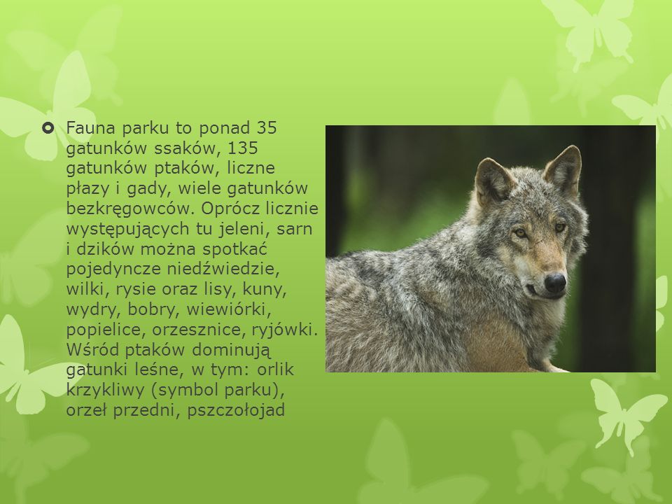 Fauna parku to ponad 35 gatunków ssaków, 135 gatunków ptaków, liczne płazy i gady, wiele gatunków bezkręgowców.