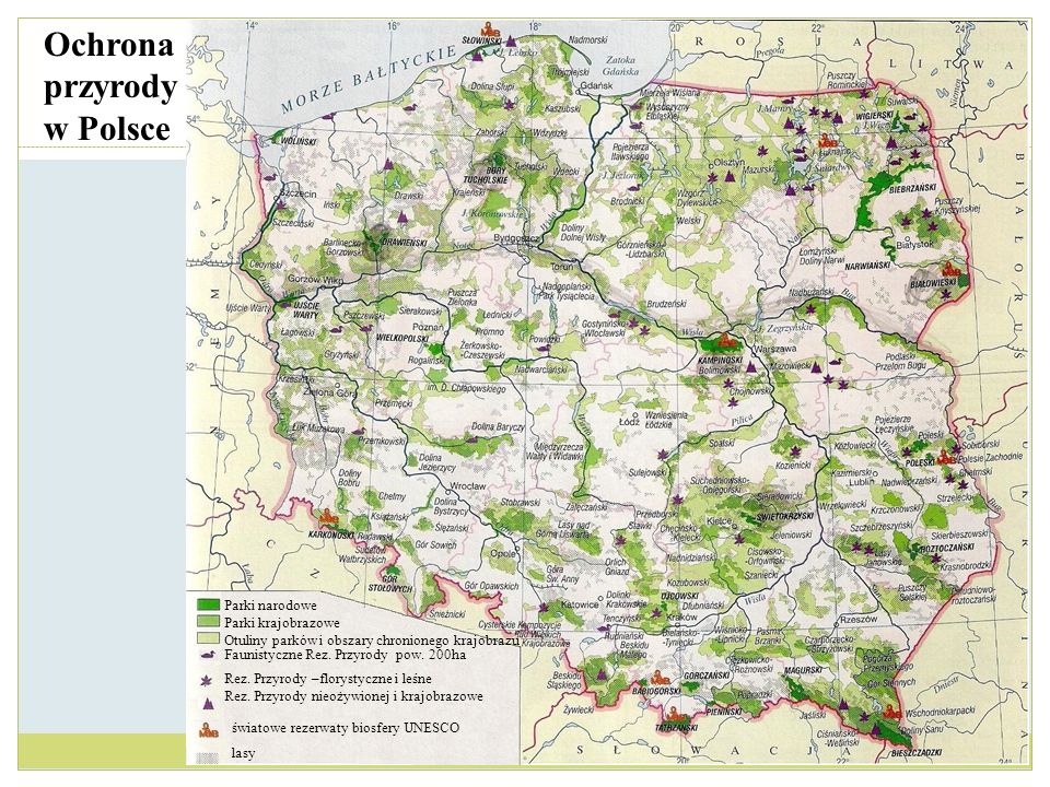Ochrona przyrody w Polsce Parki narodowe Parki krajobrazowe