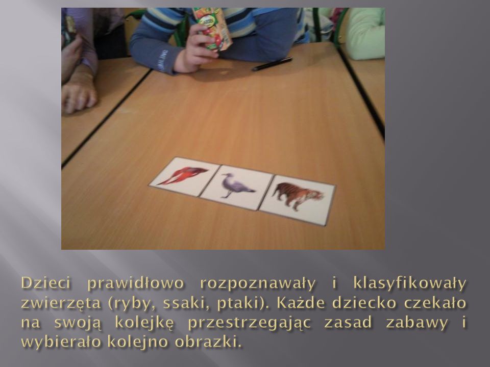 Dzieci prawidłowo rozpoznawały i klasyfikowały zwierzęta (ryby, ssaki, ptaki).