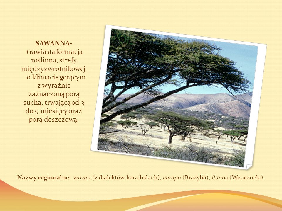 SAWANNA- trawiasta formacja roślinna, strefy międzyzwrotnikowej o klimacie gorącym z wyraźnie zaznaczoną porą suchą, trwającą od 3 do 9 miesięcy oraz porą deszczową.