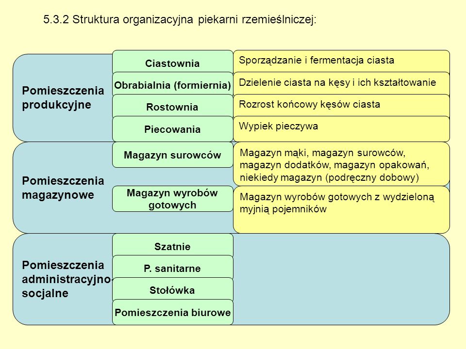 5.3.2 Struktura organizacyjna piekarni rzemieślniczej: