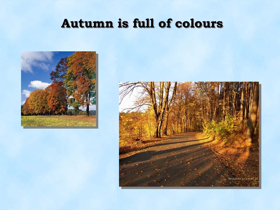 Autumn is full of colours