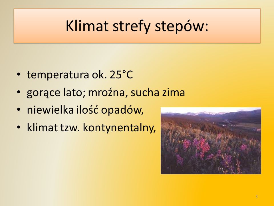 Klimat strefy stepów: temperatura ok. 25°C