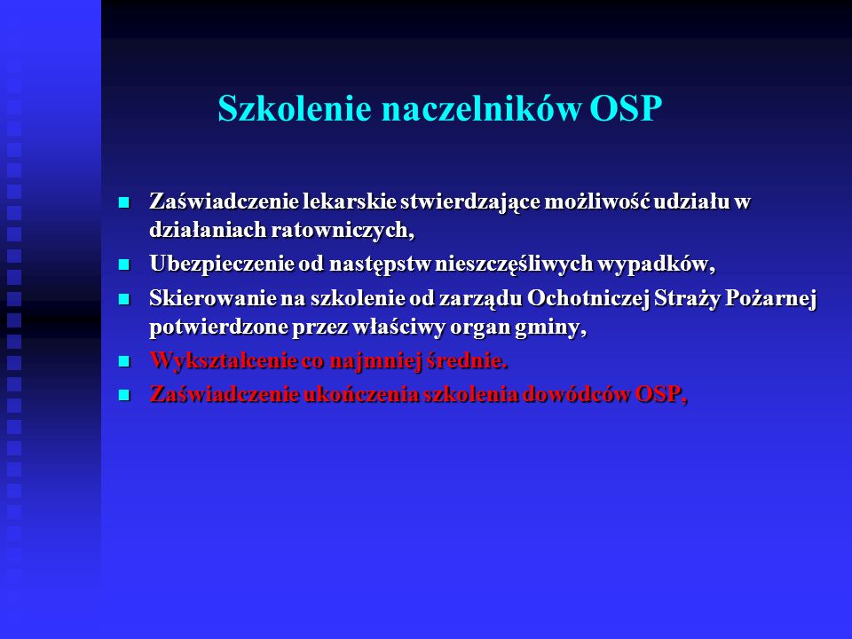 Szkolenie naczelników OSP