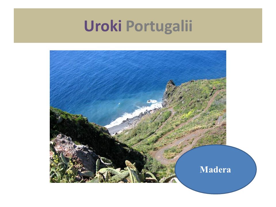 Uroki Portugalii Madera