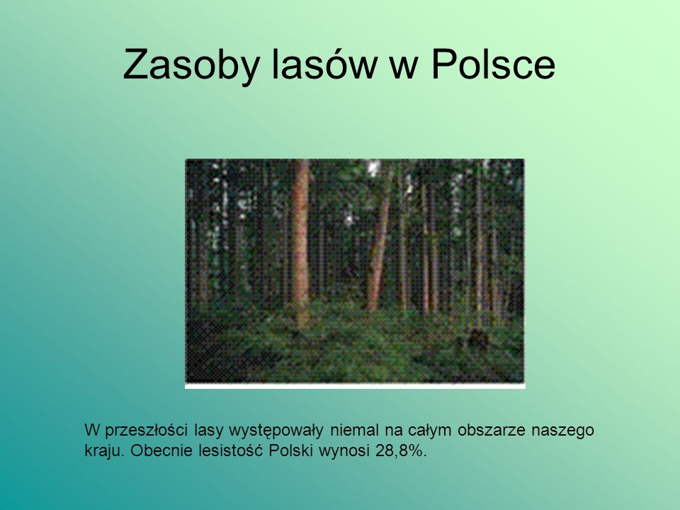Zasoby lasów w Polsce W przeszłości lasy występowały niemal na całym obszarze naszego kraju.