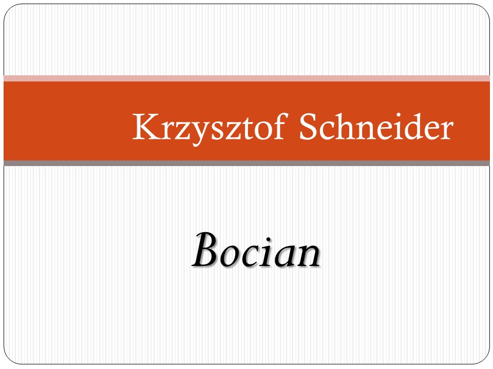Krzysztof Schneider Bocian