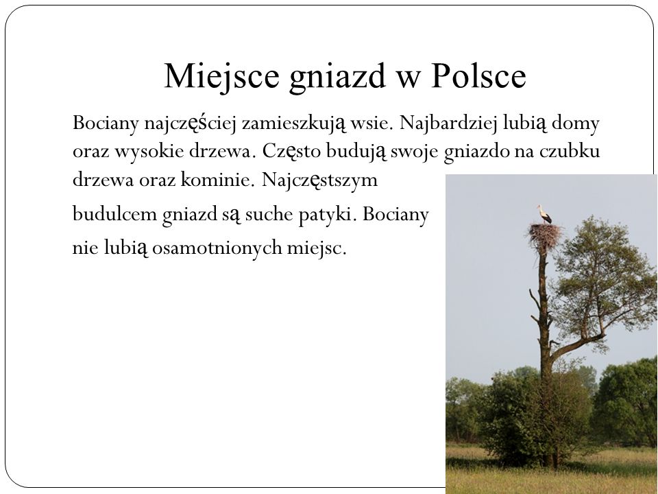 Miejsce gniazd w Polsce