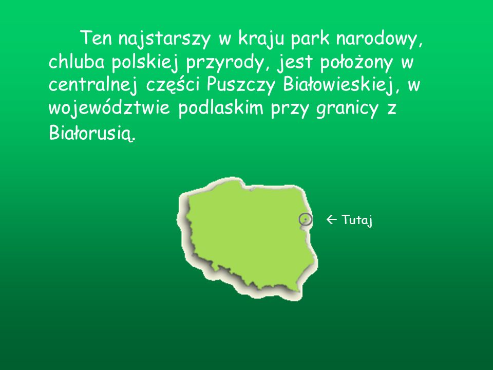 Ten najstarszy w kraju park narodowy, chluba polskiej przyrody, jest położony w centralnej części Puszczy Białowieskiej, w województwie podlaskim przy granicy z Białorusią.