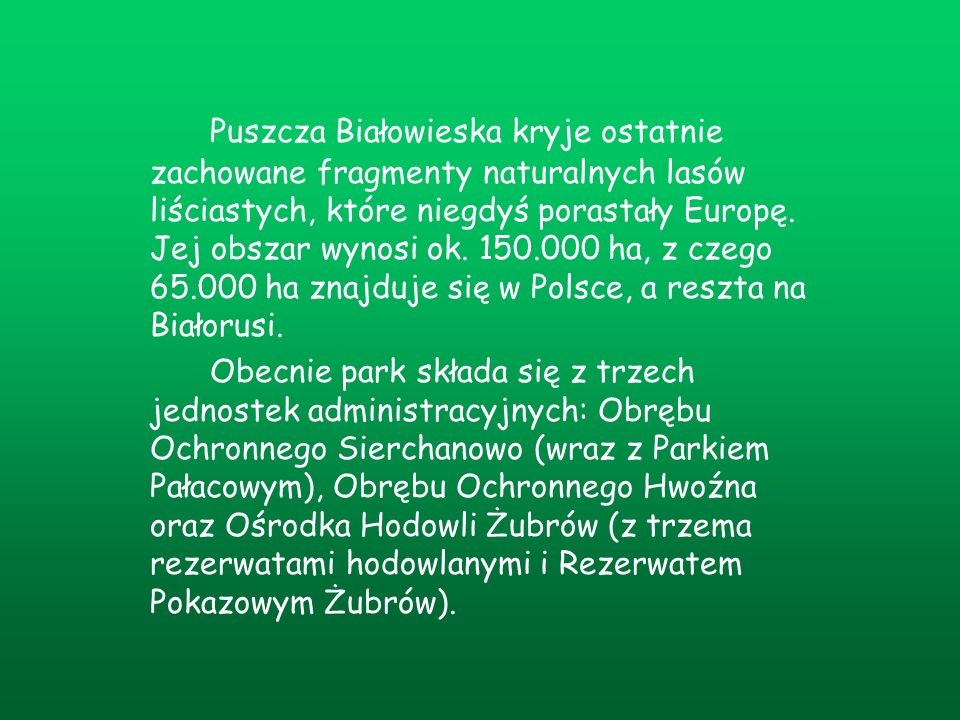 Puszcza Białowieska kryje ostatnie zachowane fragmenty naturalnych lasów liściastych, które niegdyś porastały Europę. Jej obszar wynosi ok ha, z czego ha znajduje się w Polsce, a reszta na Białorusi.