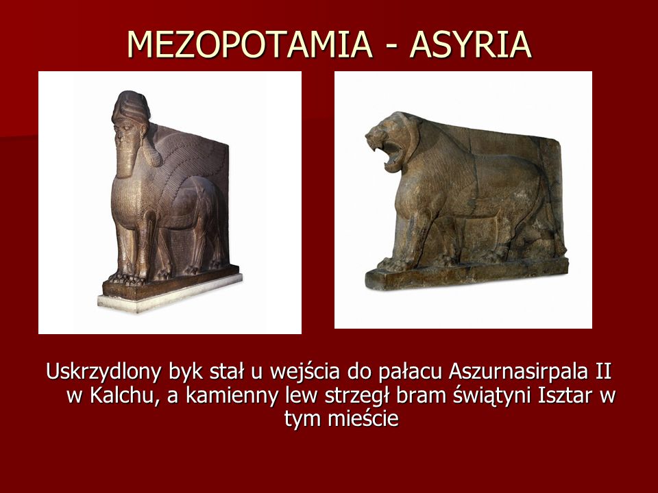 MEZOPOTAMIA - ASYRIA Uskrzydlony byk stał u wejścia do pałacu Aszurnasirpala II w Kalchu, a kamienny lew strzegł bram świątyni Isztar w tym mieście.
