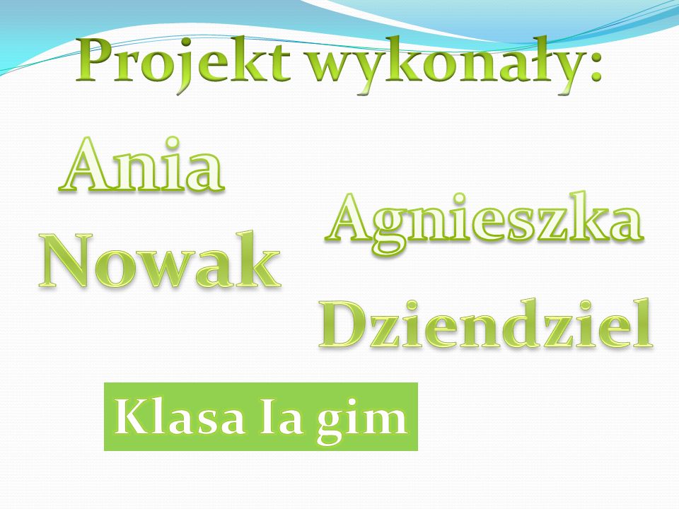 Projekt wykonały: Ania Agnieszka Nowak Dziendziel Klasa Ia gim