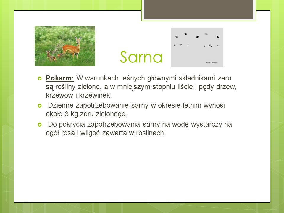 Sarna Pokarm: W warunkach leśnych głównymi składnikami żeru są rośliny zielone, a w mniejszym stopniu liście i pędy drzew, krzewów i krzewinek.