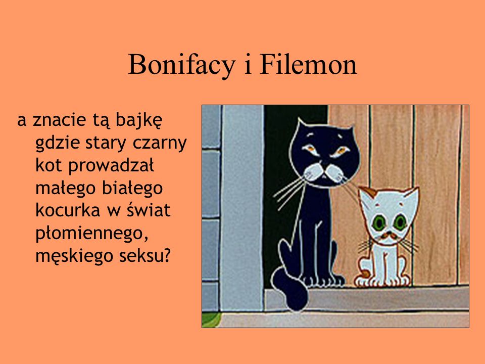 Bonifacy i Filemon a znacie tą bajkę gdzie stary czarny kot prowadzał małego białego kocurka w świat płomiennego, męskiego seksu