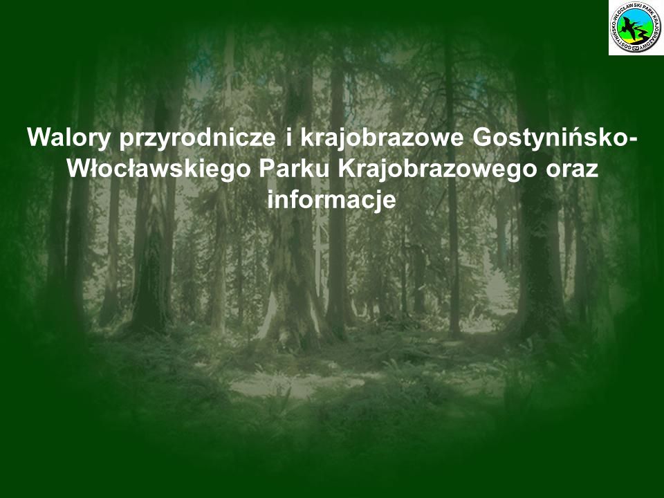 Walory przyrodnicze i krajobrazowe Gostynińsko-Włocławskiego Parku Krajobrazowego oraz informacje