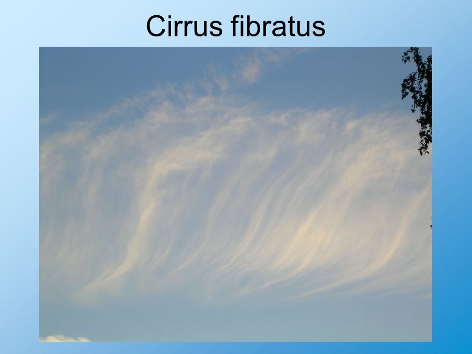 Cirrus fibratus