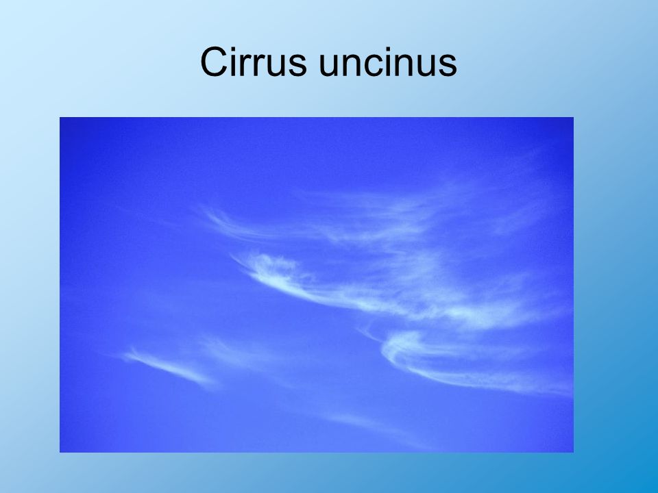 Cirrus uncinus