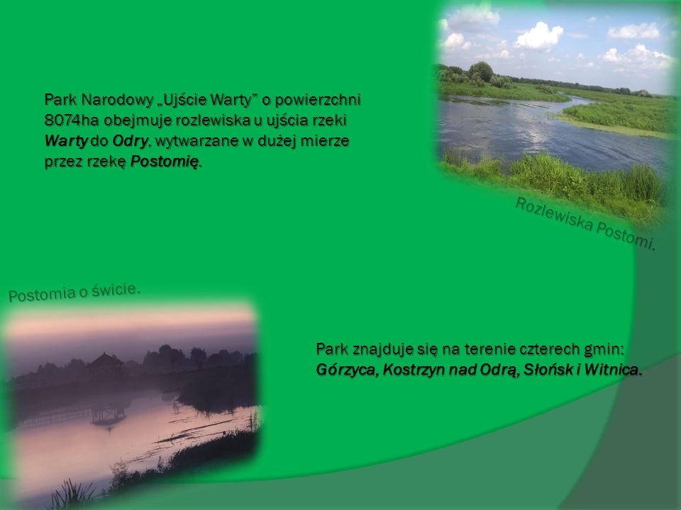 Park Narodowy „Ujście Warty o powierzchni 8074ha obejmuje rozlewiska u ujścia rzeki Warty do Odry, wytwarzane w dużej mierze przez rzekę Postomię.