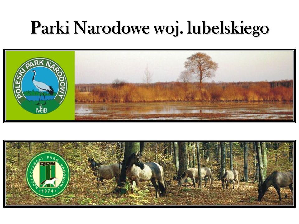 Parki Narodowe woj. lubelskiego