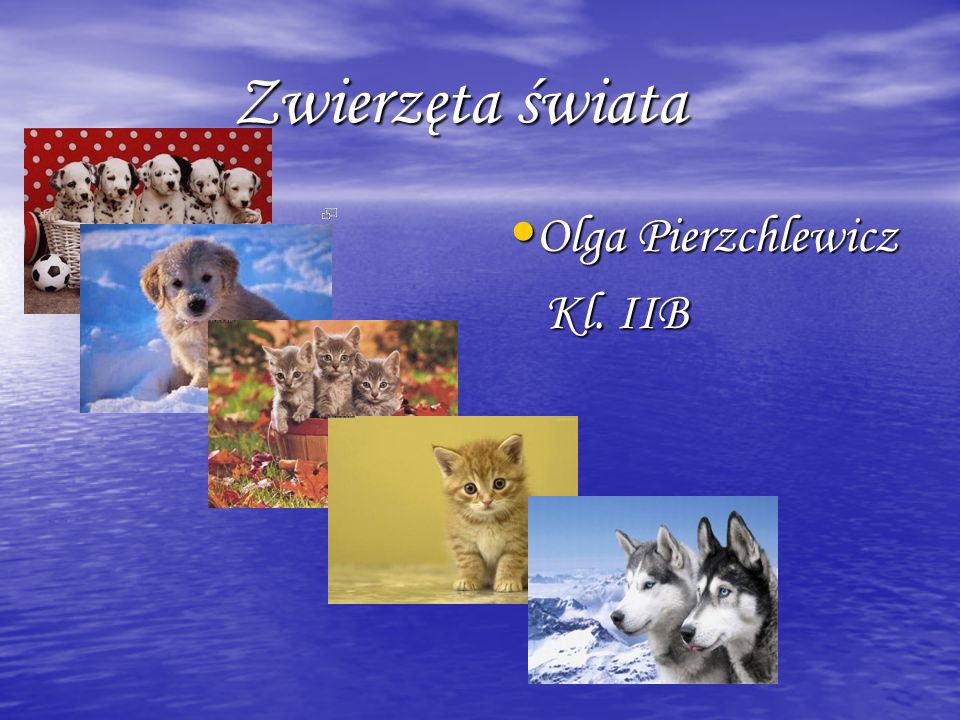 Zwierzęta świata Olga Pierzchlewicz Kl. IIB