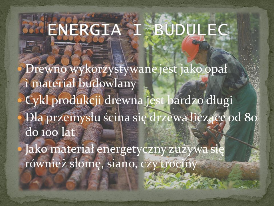 ENERGIA I BUDULEC Drewno wykorzystywane jest jako opał i materiał budowlany. Cykl produkcji drewna jest bardzo długi.