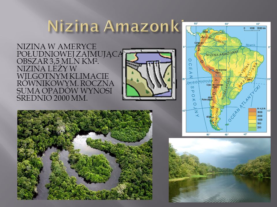 Nizina Amazonki