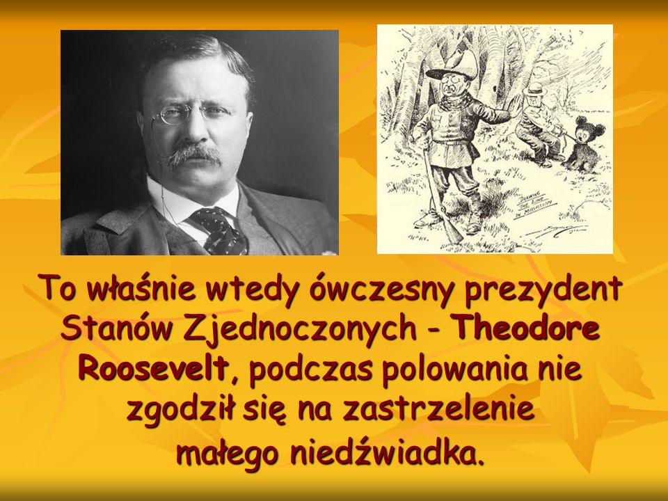 To właśnie wtedy ówczesny prezydent Stanów Zjednoczonych - Theodore Roosevelt, podczas polowania nie zgodził się na zastrzelenie małego niedźwiadka.