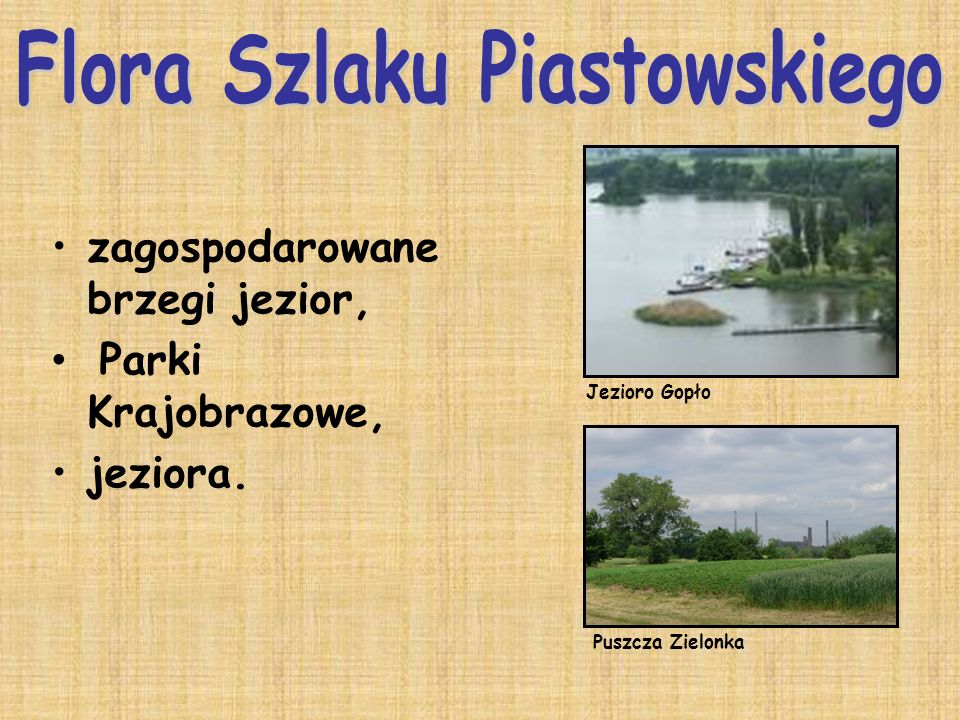 Flora Szlaku Piastowskiego