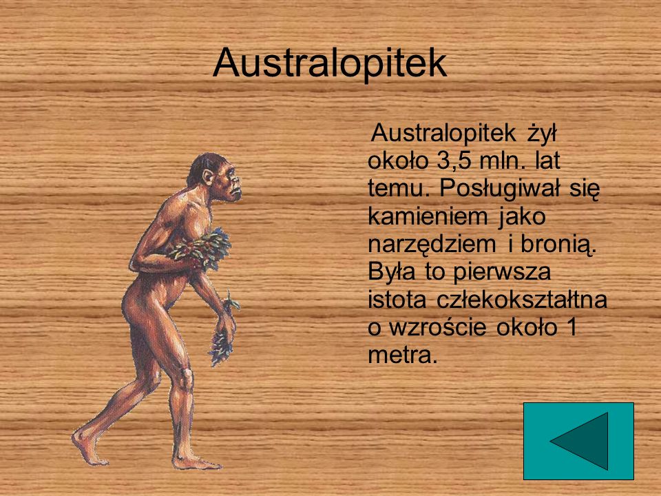 Australopitek