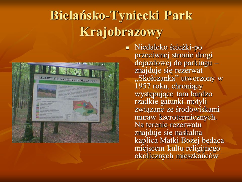 Bielańsko-Tyniecki Park Krajobrazowy