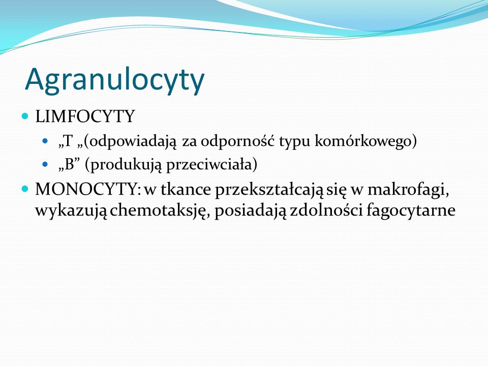 Agranulocyty LIMFOCYTY
