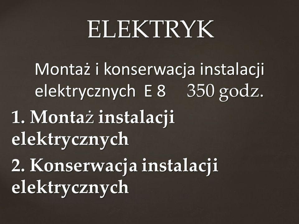 ELEKTRYK Montaż i konserwacja instalacji elektrycznych E godz.