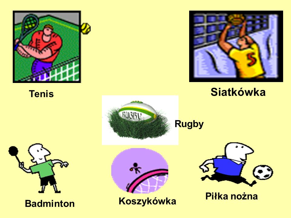 Tenis Siatkówka Rugby Badminton Piłka nożna Koszykówka