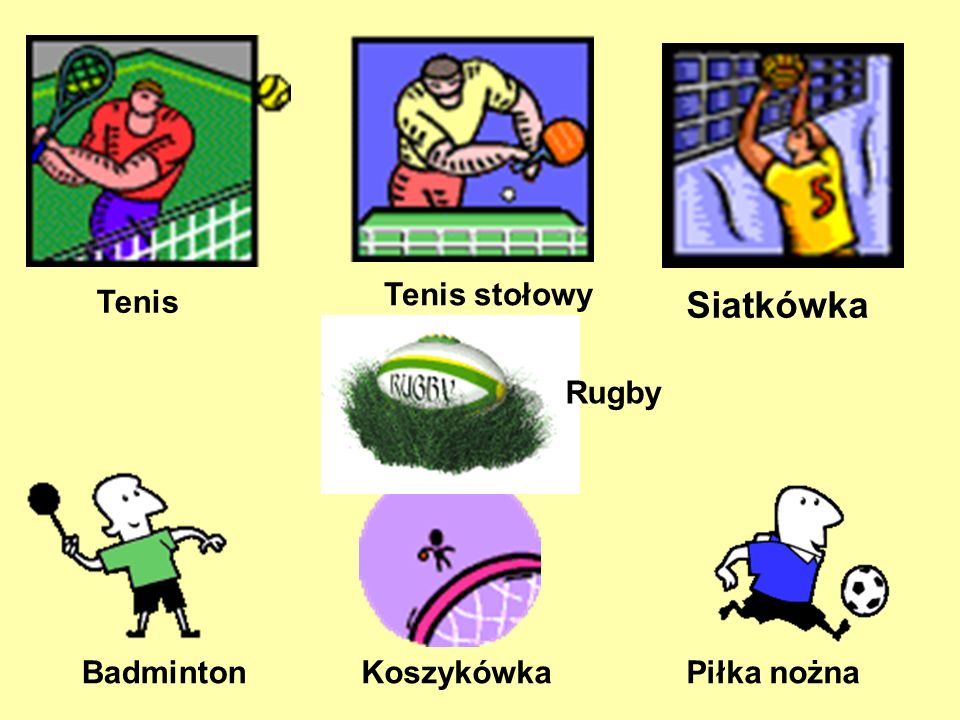 Tenis stołowy Tenis Siatkówka Rugby Badminton Koszykówka Piłka nożna