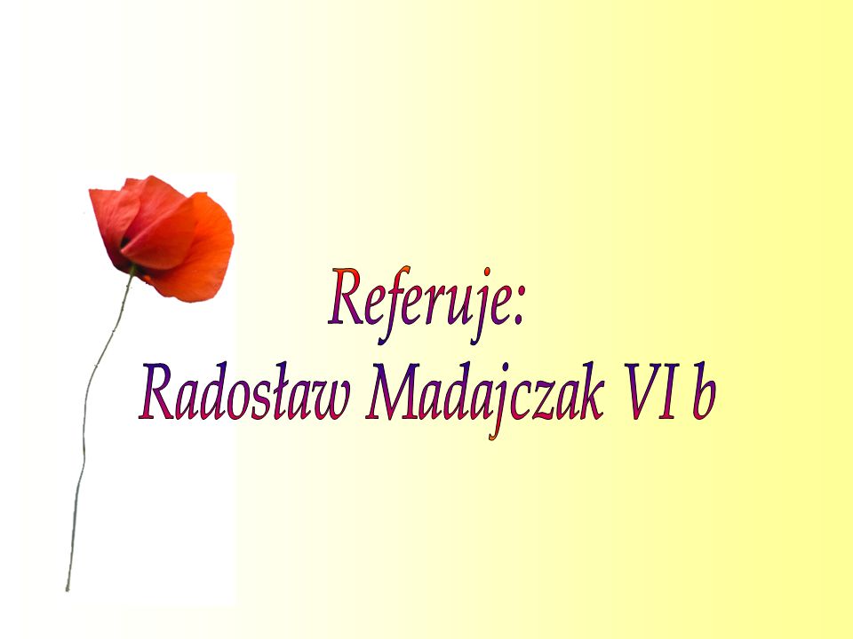 Radosław Madajczak VI b