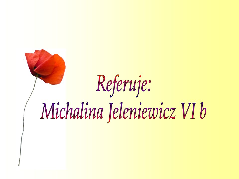 Michalina Jeleniewicz VI b