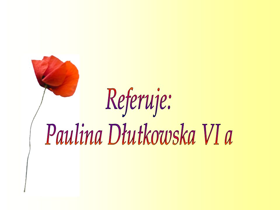 Paulina Dłutkowska VI a