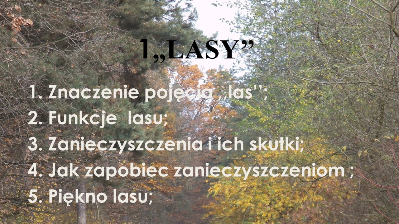 1„LASY’’ 1. Znaczenie pojęcia ,,las’’; 2. Funkcje lasu; 3.