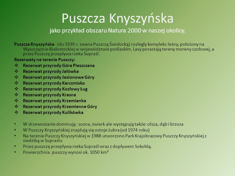 Puszcza Knyszyńska jako przykład obszaru Natura 2000 w naszej okolicy.