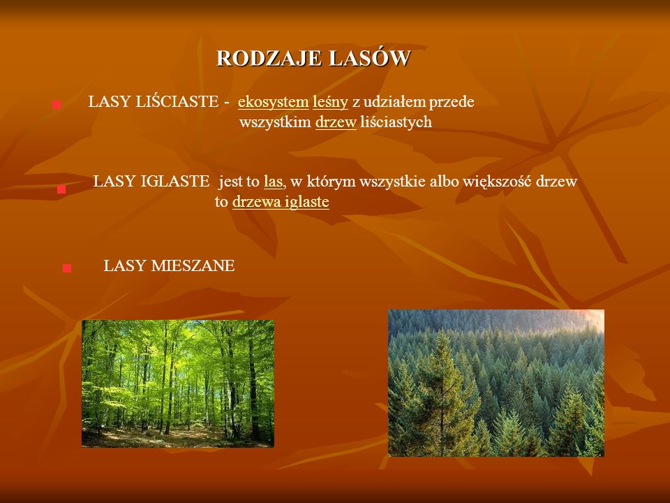 RODZAJE LASÓW LASY LIŚCIASTE - ekosystem leśny z udziałem przede wszystkim drzew liściastych.