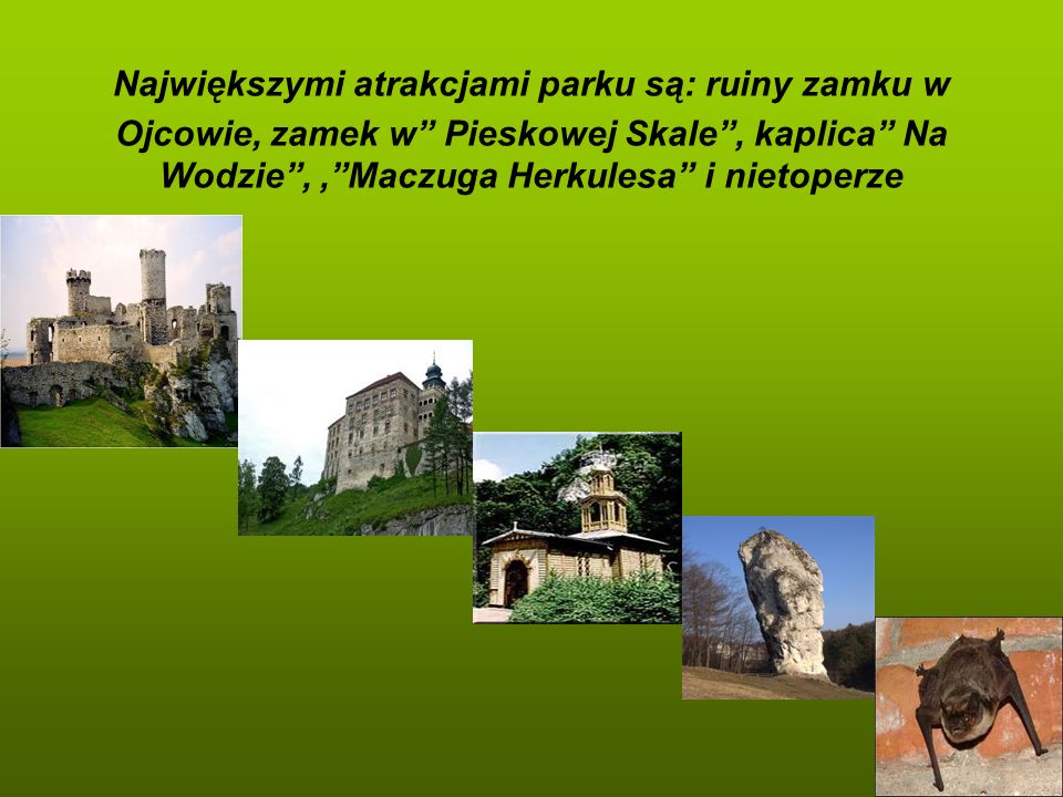 Największymi atrakcjami parku są: ruiny zamku w Ojcowie, zamek w Pieskowej Skale , kaplica Na Wodzie , , Maczuga Herkulesa i nietoperze