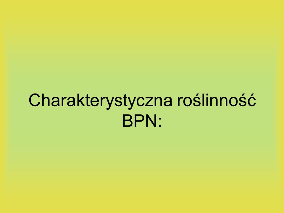 Charakterystyczna roślinność BPN: